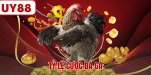 Tỷ Lệ Cược Đá Gà - Mức Odds Săn Thưởng Hấp Dẫn Nhất 2026